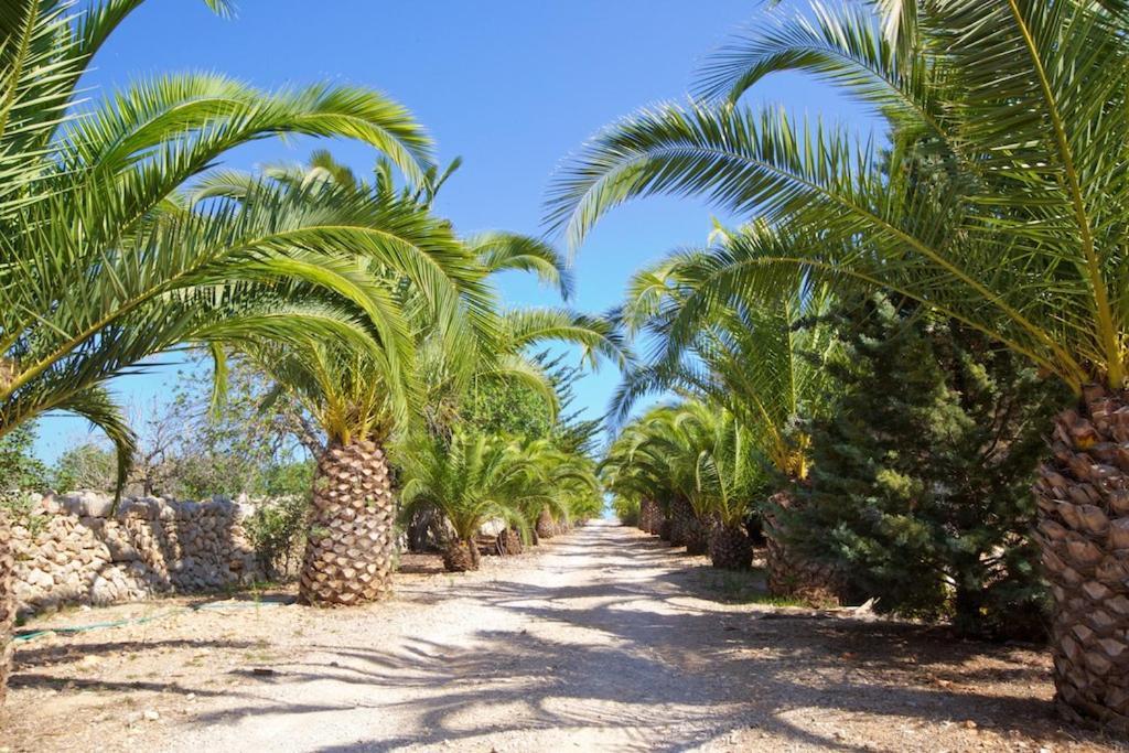 Landhuis Agroturismo Saigo Portocolom (Mallorca)