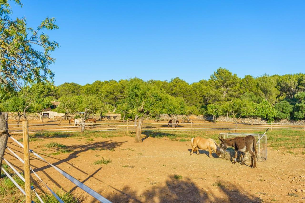 Country house Agroturismo Saigo Portocolom (Mallorca)