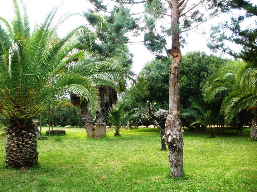 Landhuis Agroturismo Saigo