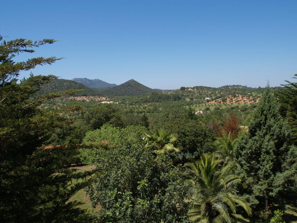 Agroturismo Saigo Landhuis